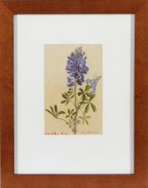 Wills, Mary Motz, "Texas Bluebonnets", 1946