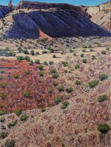 Jim Woodson, "Committed Synchronous Contemplations", 2014