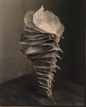 Robert Langham III, Fallen Stacked Dogwood Leaves, 2017