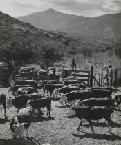 Sayles, E.B., "In the Chute," 1940