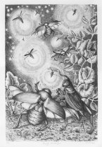 Crisp, Margie, "Firefly Fandango," n.d.