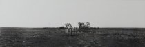 Peck, Mary, "Abandoned Homesite, Rita Blanca Grasslands, Texas," 1984
