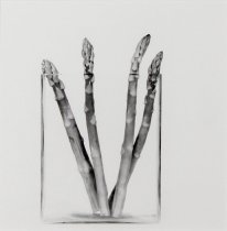 Goddard-Finegold, Jan, "Asparagus in Glass," 1999