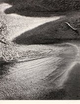 Sexton, John, "Surf and Driftwood, Afternoon, Point Lobos, California" 1989