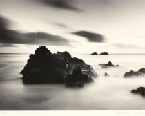 Hooper, Chip, "3 1/2 Birds on a Rock," 1994