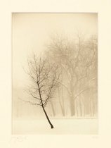 Kozal, Paul A., "Winter," 1995/2000