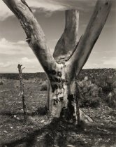 Armstrong, Frank, "Truchas, New Mexico 6/8/83," 1983