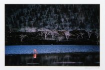 Scanlan, Nancy, "Galop'diqus Birds," 1989