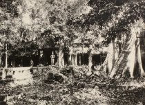 Unknown, Unknown Title, No Date