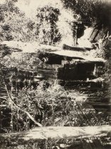 Unknown, Unknown Title, No Date