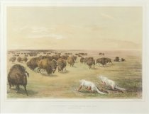 Catlin, George, "Buffalo Hunt, Under the White Wolf Skin," 1970