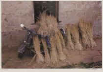 Wright, Alice, "Motor Bike with Straw," 2001