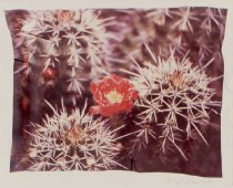 Wright, Bill, Unknown Title, No Date