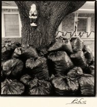 Lovett, O. Rufus, "Glade H2O, TX," 1995