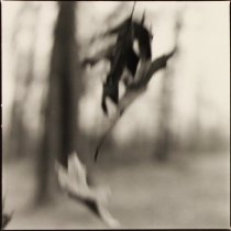 Rosen, David, Unknown Title, 1996