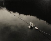 Williams, Steve, "Greenwood Furnace State Park, Pennsylvania," 1999