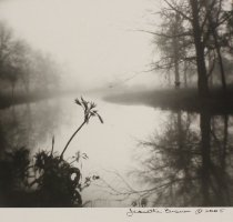 Brown, Jeanette, "Lily," 2005