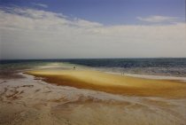 Gullet, John, "Sand Bar, Provincetown, Massachusetts," 2008