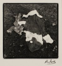 Lovett, O. Rufus, "Deflated Icon," 2003