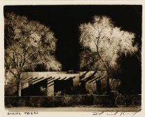 Kennedy, David Michael, "White Trees," No Date