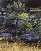 Lowcock, Ford E., "On a Foggy Morning," 1982