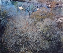 Lowcock, Ford E., "Fall Overview," 1982