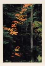 Norton, Judy, "Chautauqua, New York #22," 2007