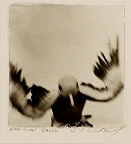 Kennedy, David Michael, "San Juan Eagle," 1994