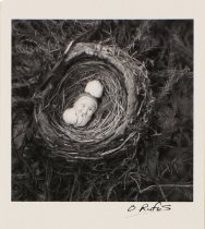 Lovett, O. Rufus, "Christmas Nest," 2014