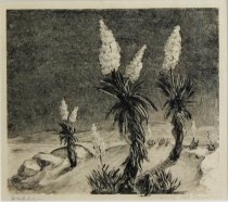 McGraw, Hazel, "Yucca," 1940
