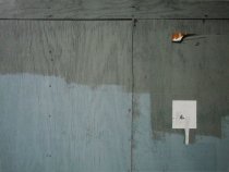 Frasers, John, "Two Greys w/ Orange & White Accents (Miami)", 2011