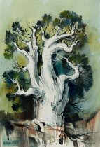 Elliot, William, Mighty Cedar, n.d