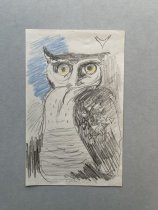 Otis Dozier, "Staring Owl", no date, pencil and color pencil on paper