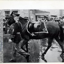 2023.1.12_jamesstimpson