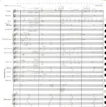 Hawaii Mccoy 1980 014e