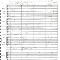 Hawaii Mccoy 1980 025e