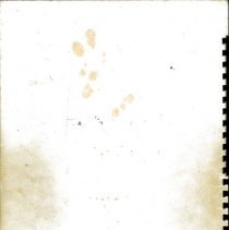 Fiddler On The Roof Mccoy 1981 090