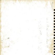 Reflections Mccoy 1981 026