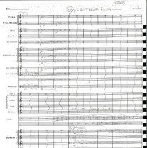 Wild About Harry Mccoy 1983 010