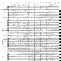 Wild About Harry Mccoy 1983 012