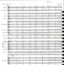 Wild About Harry Mccoy 1983 014