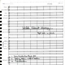 Wild About Harry Mccoy 1983 003