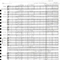 Wild About Harry Mccoy 1983 009e