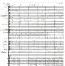 Battle Of The Ewoks Mccoy 1987 012