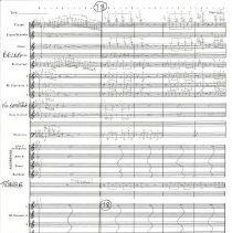 Battle Of The Ewoks Mccoy 1987 018