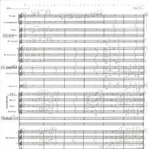 Battle Of The Ewoks Mccoy 1987 024