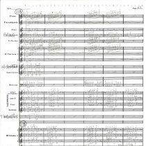 Battle Of The Ewoks Mccoy 1987 025