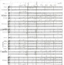 Battle Of The Ewoks Mccoy 1987 027