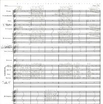 Battle Of The Ewoks Mccoy 1987 039