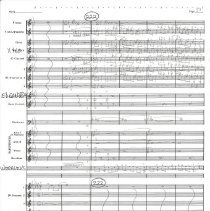 Battle Of The Ewoks Mccoy 1987 042